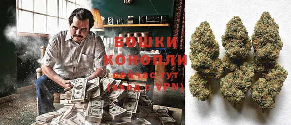 твердый Осташков