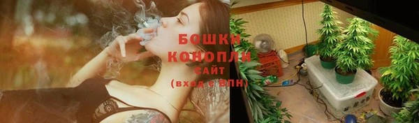 твердый Осташков