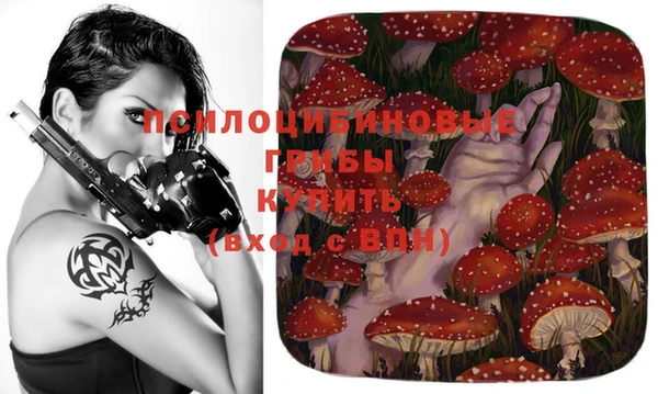 твердый Осташков