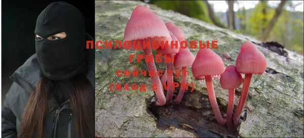 кокс Осинники