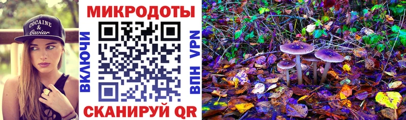 купить наркотики цена  Слободской  Псилоцибиновые грибы прущие грибы 