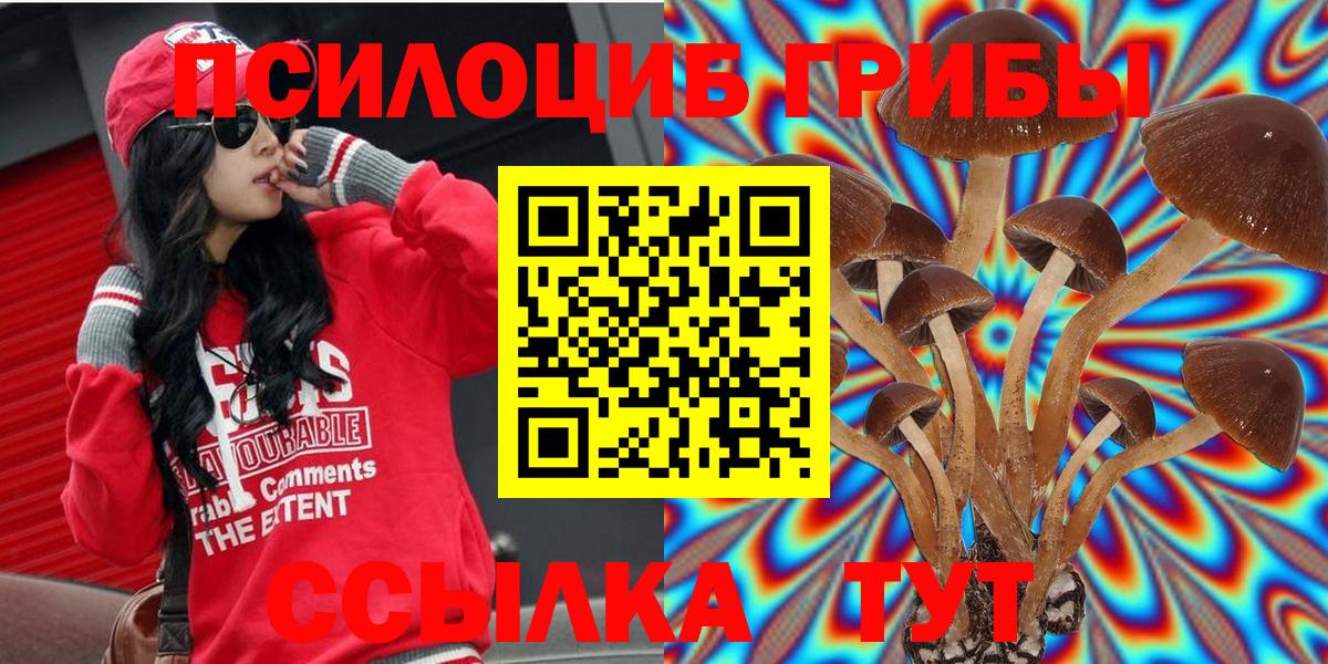 Псилоцибиновые грибы MAGIC MUSHROOMS Слободской