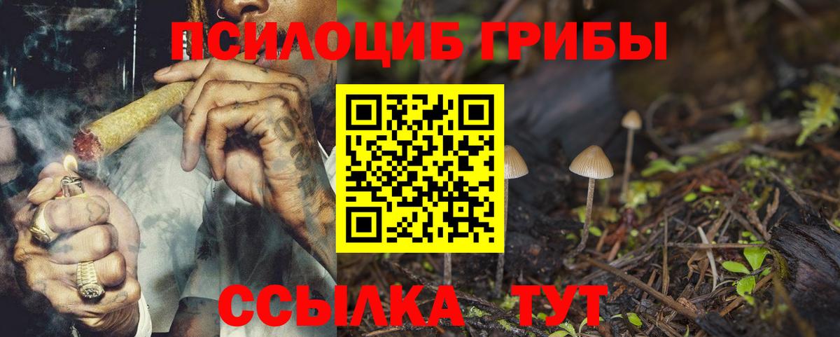 Слободской  купить закладку  Вход с VPN  Псилоцибиновые грибы мицелий 